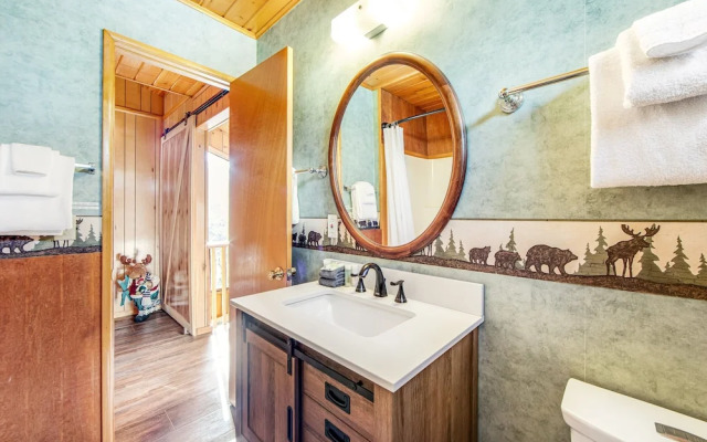 Black Diamond Vista #653