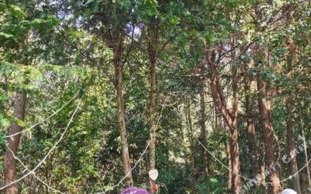 Nanshoufeng Yangshenggu