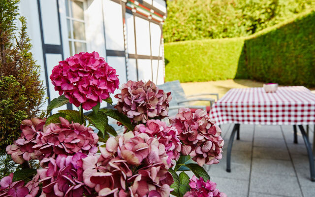 Am Golf- und Reitpark