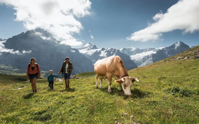 Hotel Alpenrose Wengen