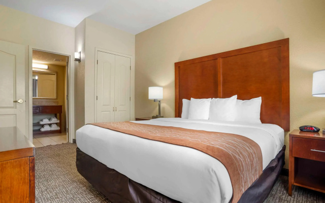 Comfort Inn & Suites Daphne Spanish Fort - Mobile East
