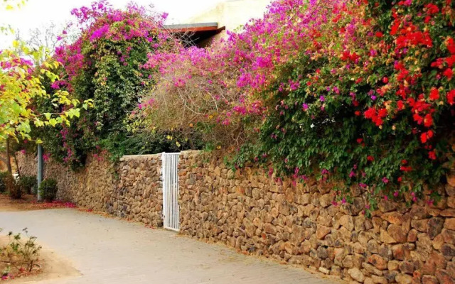 LeSaNel - Guest House