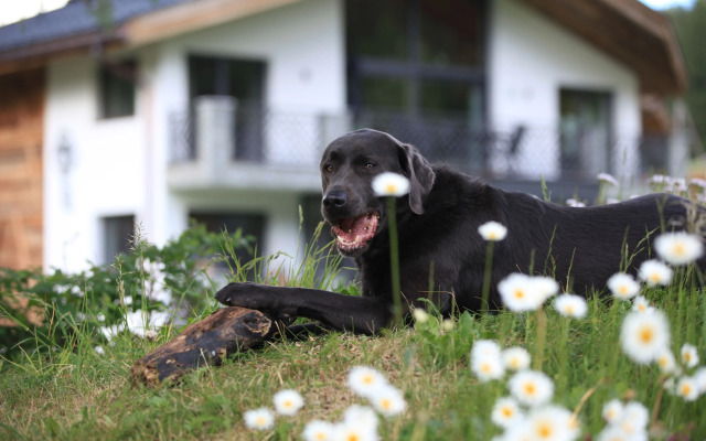 Wellnesshotel Engadin