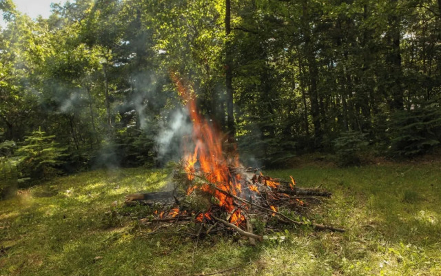 Our Wielgot Tradition