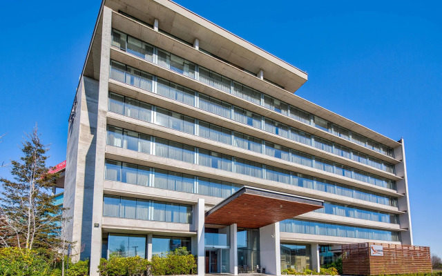 Wyndham Concepcion Pettra