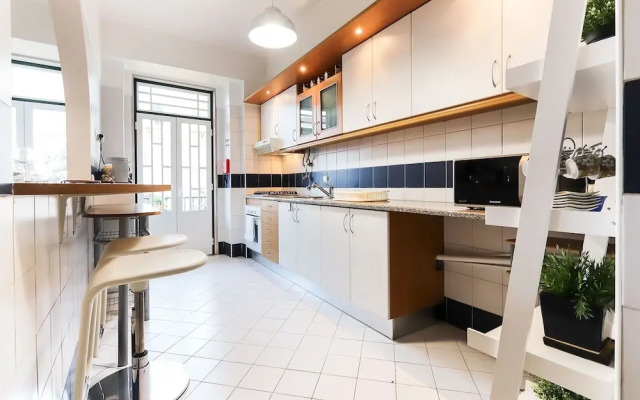 Rato Elegant By Homing