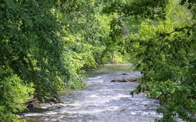 River Cottage 3 Bedroom Home by Redawning