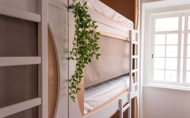 The Mulberry Tree Lisbon Hostel