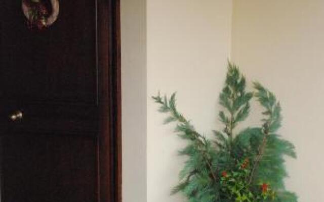 Gli Oleandri di Belfiore