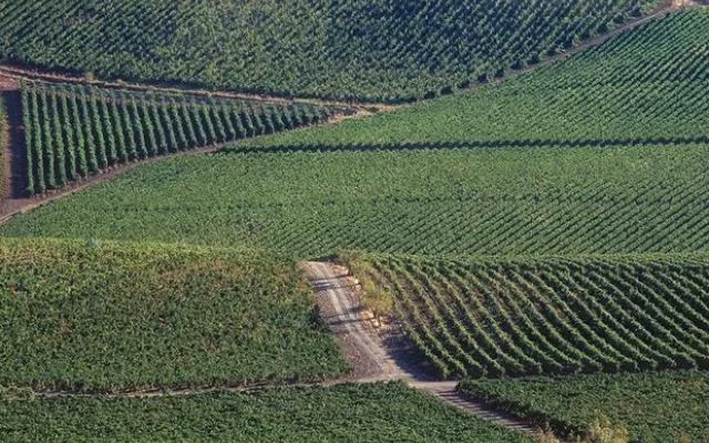 Tasca Conti d'Almerita - Tenuta Regaleali