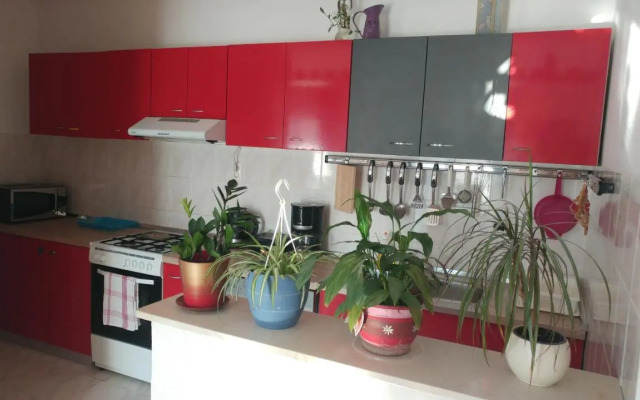 Apartment Tina