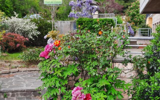 Fiori Del Conero