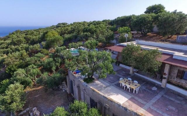 Albachiara Pool House