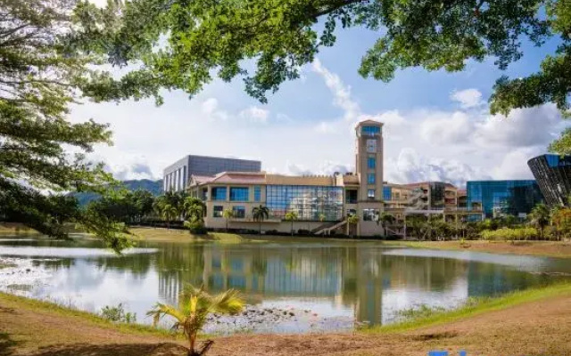 Sanya Yalong Bay Flower Water Residence