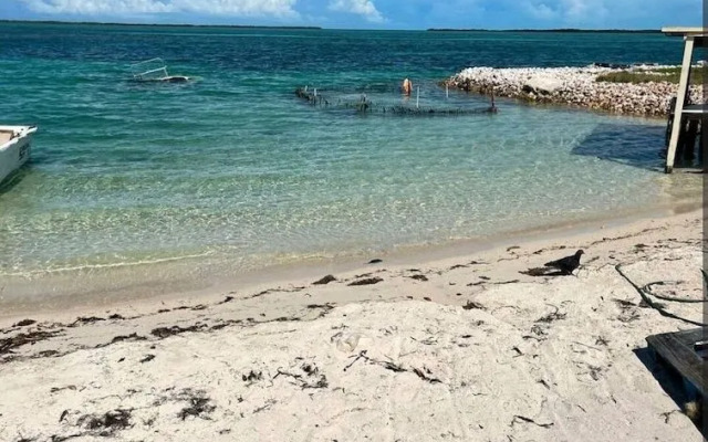 Dames Getaway Bimini