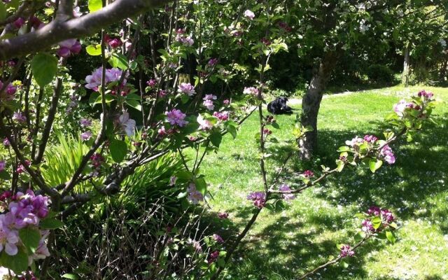 Arbour House Bed and Breakfast