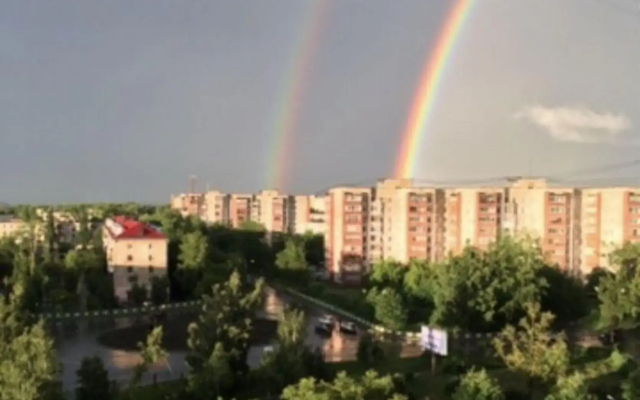 Желтый Нарцисс на улице Челюскинцев - фото 5