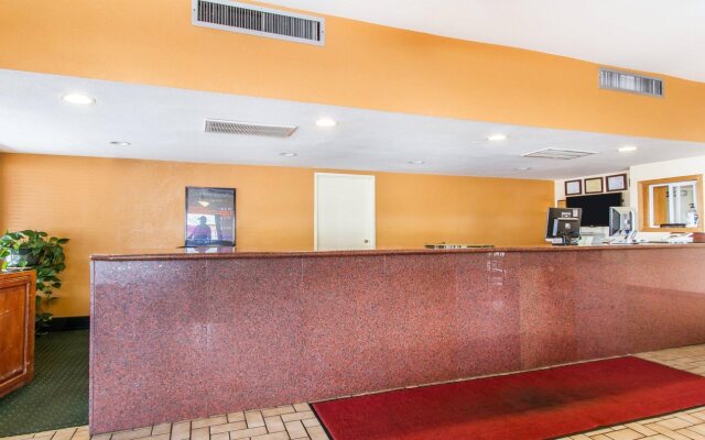 Hotel Elev8 Flagstaff, Trademark Collection by Wyndham