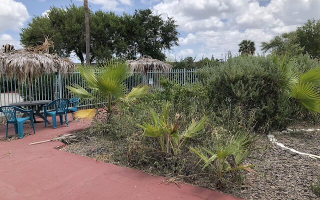 University Inn & Suites