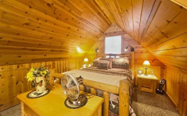 Metolius Cabin 4