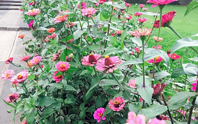 The Courtyards Goshen