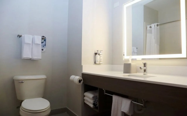 Holiday Inn Express Hotel & Suites Baton Rouge North