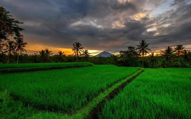 Kawi Resort A Spiritual Sanctuary to Escape
