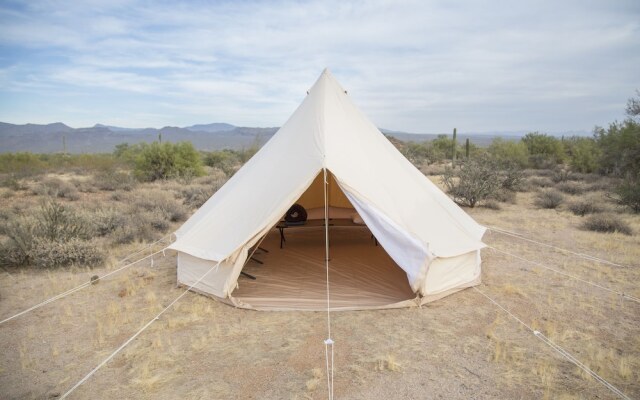 Texas Renaissance Festival