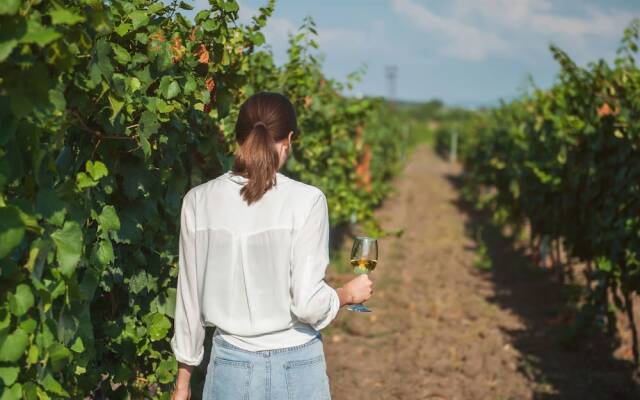 Sanders Arsorama - Sweet 1-bdr Apt w/ Shared Patio