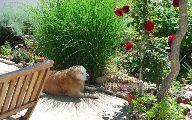 Rustic Holiday Home Miketa