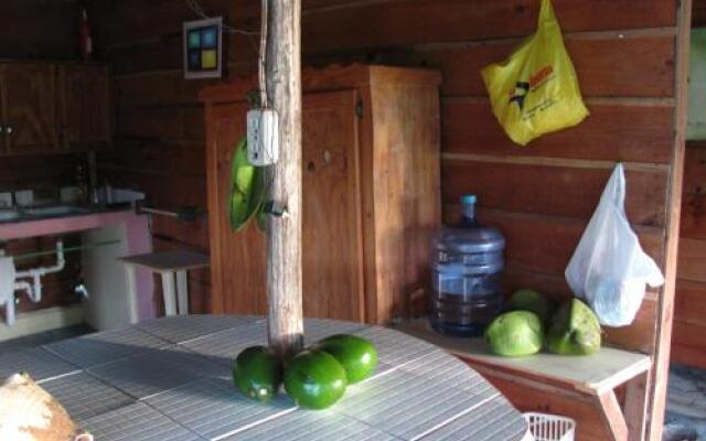 Real Dominican Republic Discovery
