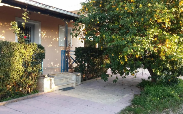 V-Apartments