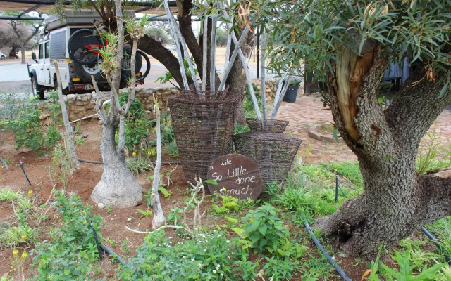 Kameelboom lodge
