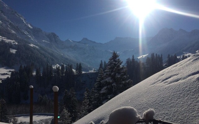 Monte Grappa Adelboden