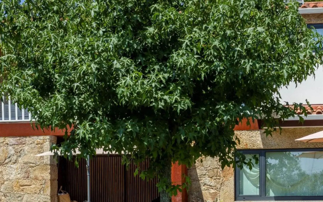 CASA TARRIO - 3 quartos com piscina