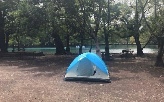 Anaya & Rodriguez Shop - Hostel