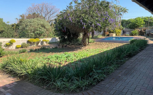 Palm Haven on Sarnia