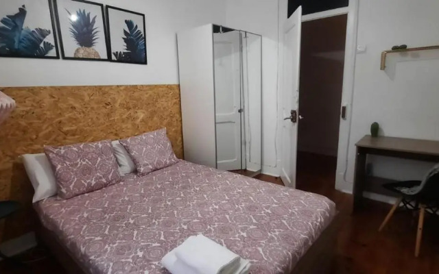 Sunny Terrace Apt, Close to Downtown! 2 Bedroom Flat