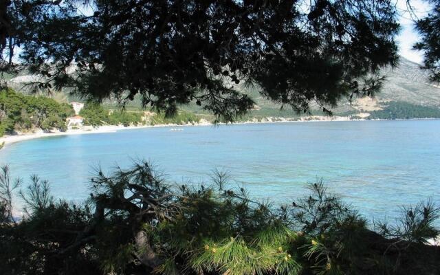Lucky - 150m From the sea - A3