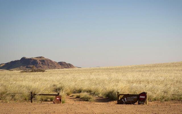 Desert Camp