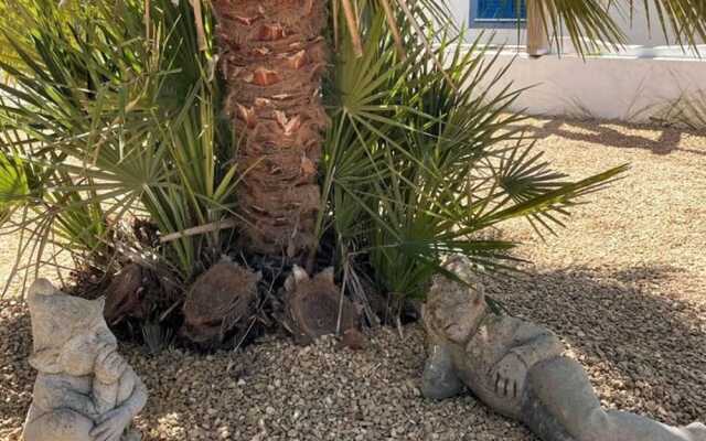 Omontinho - 4-bed House With Pool in Melides