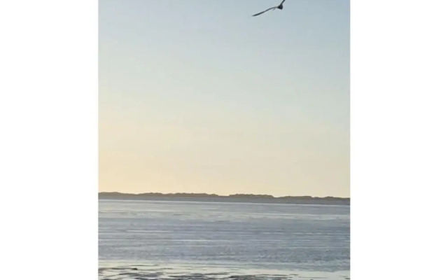 Elsewhere Comfortable Holiday Residence