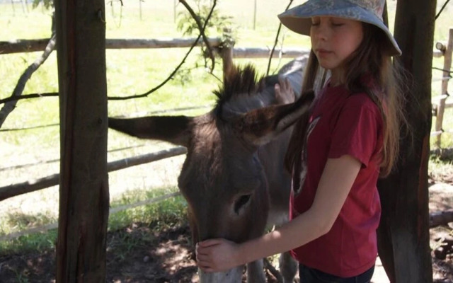 Antbear Drakensberg Lodge