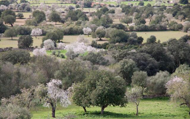 Finca Pujol den Miquel