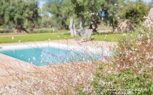 Azienda Agricola Spirdo