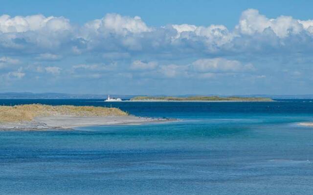 Tigh Fitz Guesthouse