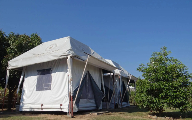The Camping Field