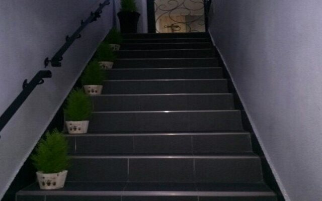 Ace Guesthouse