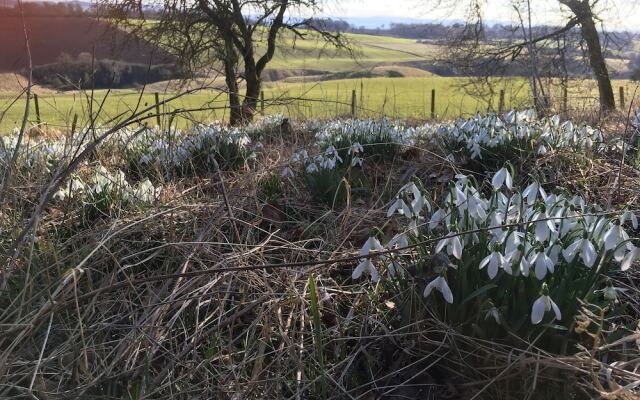 Beautiful 8-bed House in Angus