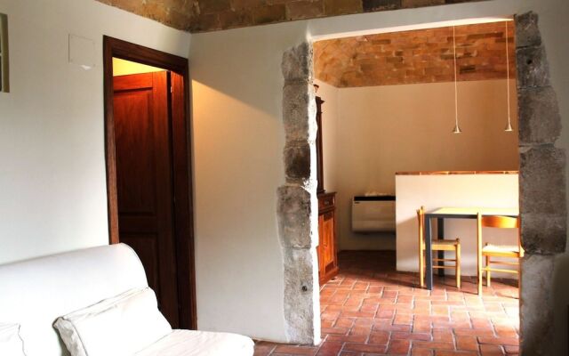 Orso - Parco Nazionale d'Abruzzo